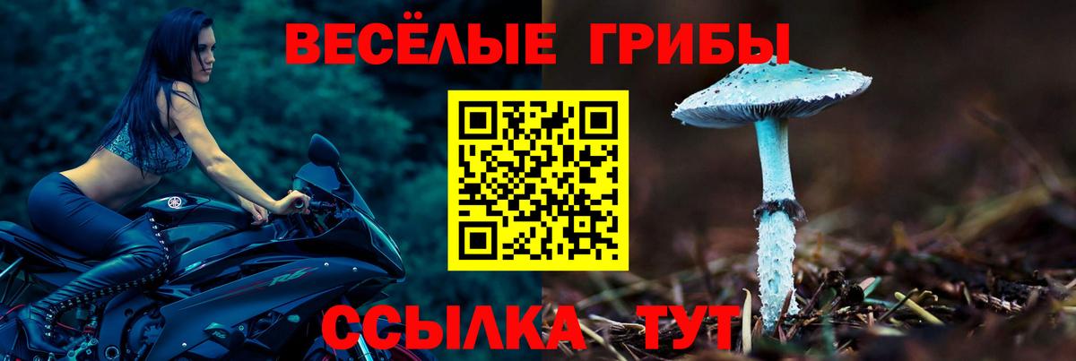 Псилоцибиновые грибы Magic Shrooms Ставрополь